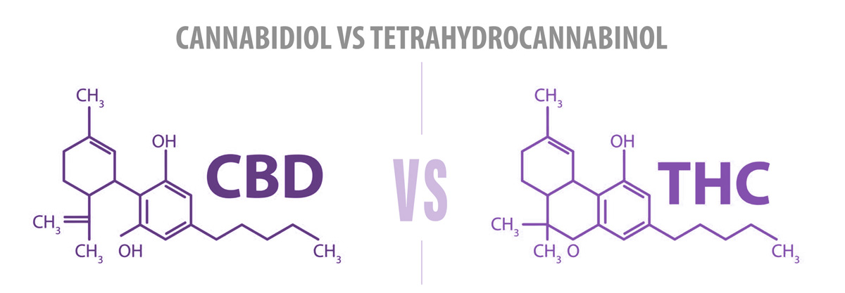 Medicinal cannabis