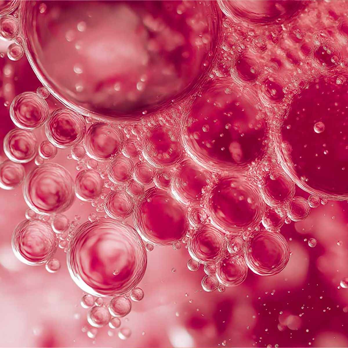 IGC-AD1 Medication