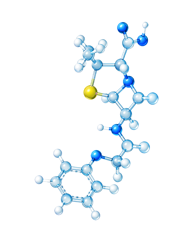 Molecule Structure